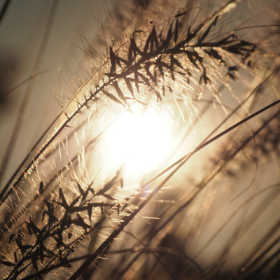 Bild_Template_400x400