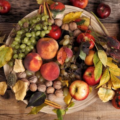 Rezeptbuch für Herbst & Winter
